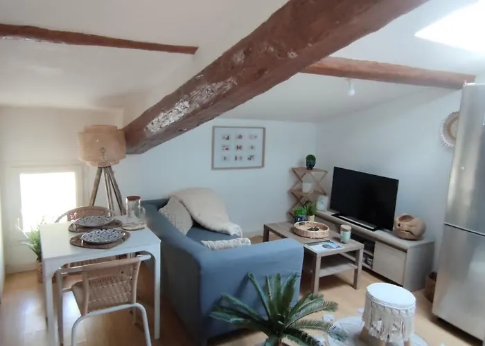 Appartzen Proche Cite De Carcassonne Et De La Cavayere *